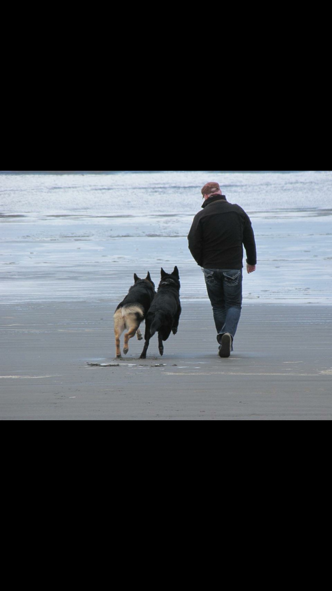 David walking two German Shepherds down a silver beach at Ocean Shores